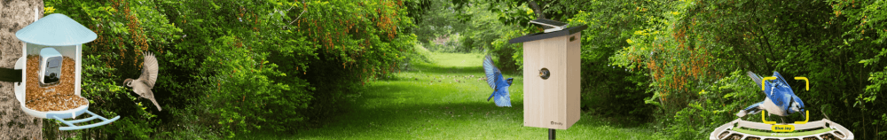 Distributeurs intelligents pour oiseaux