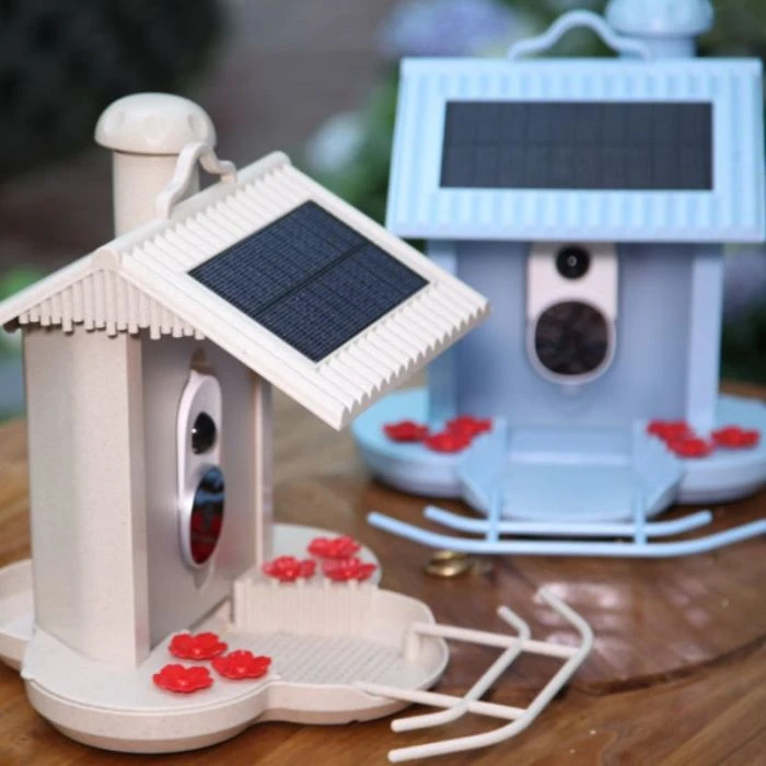 Mangeoire à Oiseaux Intelligente Avec Caméra 2K - Reconnaissance IA - Alimentation Solaire - Anti-écureuils - Notifications En Temps Réel - 9