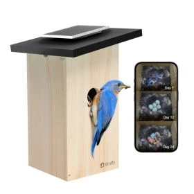 Birdfy Ebony Lite – Nichoir Connecté avec Caméra, Panneau Solaire et Reconnaissance d’Oiseaux par IA