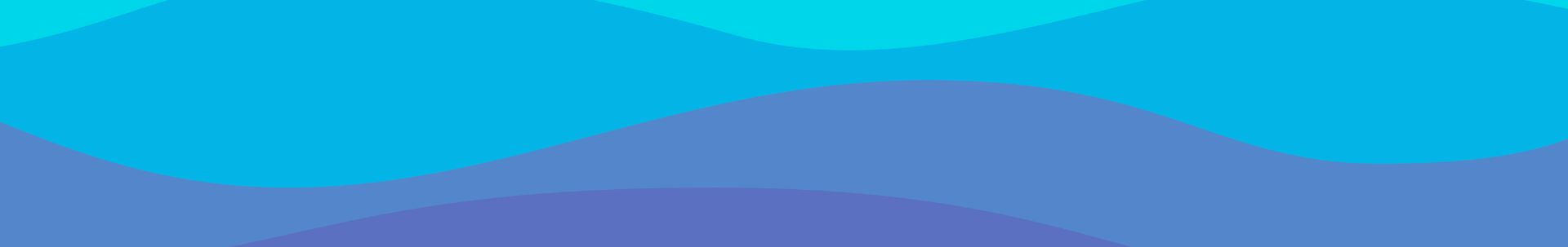 iPad Mini 4 accessoires