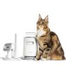 Neakasa P0 Pro/Lite Aspirateur de Toilettage pour Chat 4-en-1 sticky