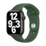 Apple Bracelet Sport Apple Watch 38 mm / 40 mm / 41 mm Trèfle sticky