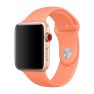 Apple Bracelet sport Apple Watch 38mm / 40mm / 41mm - Peach sticky