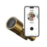 Bold Elite Smart Lock Cylindre SX33 en laiton sticky