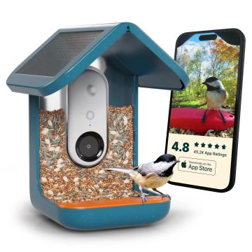 Bird Buddy Mangeoire Connectée 2.0 – Mangeoire Oiseaux Automatique avec Caméra et Panneau Solaire, Bleu