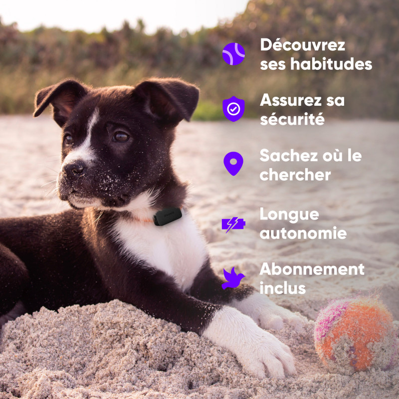 Invoxia Pet Tracker - Traceur GPS pour animaux 