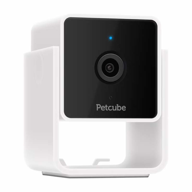 Petcube Cam Caméra de Surveillance pour Animaux de Compagnie avec