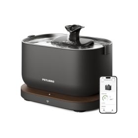 Petlibro Dockstream Fontaine à eau intelligente Noir