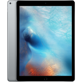 Catégorie iPad Pro 12,9" coques et étuis image